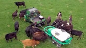 機(jī)械化養(yǎng)牛聽(tīng)起來(lái)就高大上，但在我國(guó)真的適合嗎？